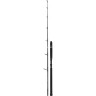 Удилище SHIMANO BEASTMASTER CATFISH FIRE BALL EXTREME 210 SBMCFFB21XT